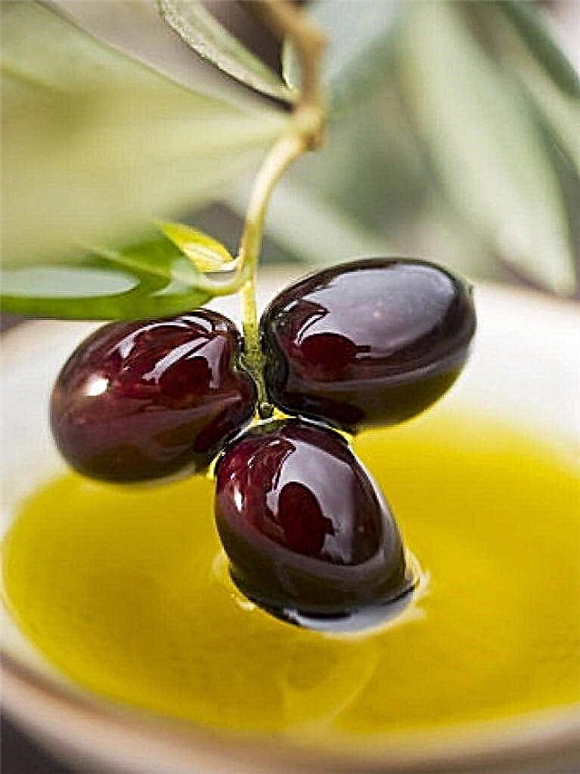Kann ech Oliven an Oliven fir Typ 2 Diabetis iessen?