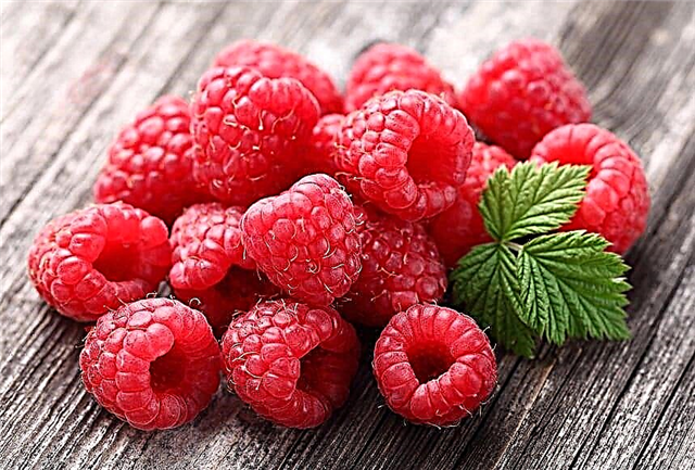 Apa raspberry lan blackberry bisa utawa ora kanggo diabetes jinis 2?