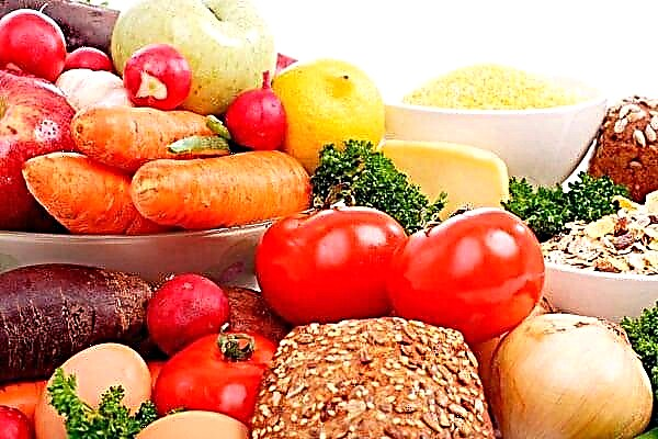 Dieta għad-dijabetiċi fl-istadju inizjali: nutrizzjoni u sintomi tal-marda
