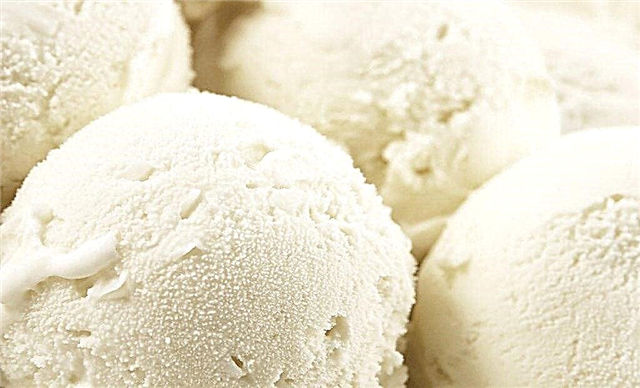 بستنی مخصوص دیابتیک ها در خانه: چه می توانم بخورم؟