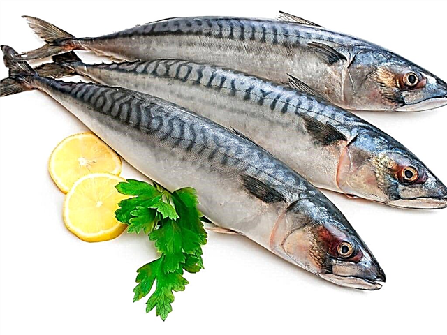 Hiki i ka mackerel me ke ʻano type type 2?