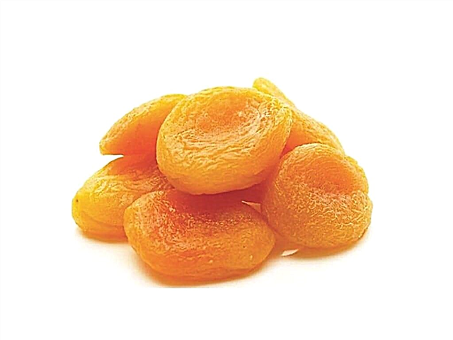 Ĉu eblas manĝi sekigitajn abrikotojn kun diabeto de tipo 2?