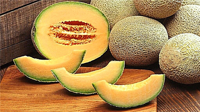 Eske li posib poum manje melon nan dyabèt tip 2.