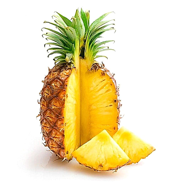 Ma dibe ku pineapple bi şekirê tip 2?
