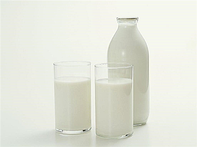 Kan ek melk met tipe 2-diabetes drink?