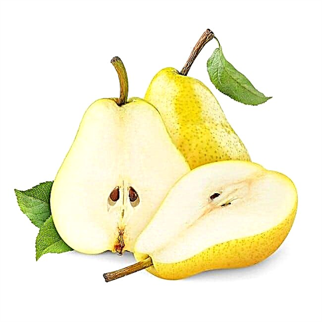 Ṣe Mo le jẹ eso-pears pẹlu àtọgbẹ-oriṣi 2