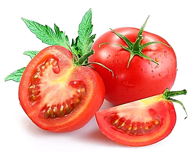 Enwere m ike iri tomato na-arịa ụdị shuga 2?