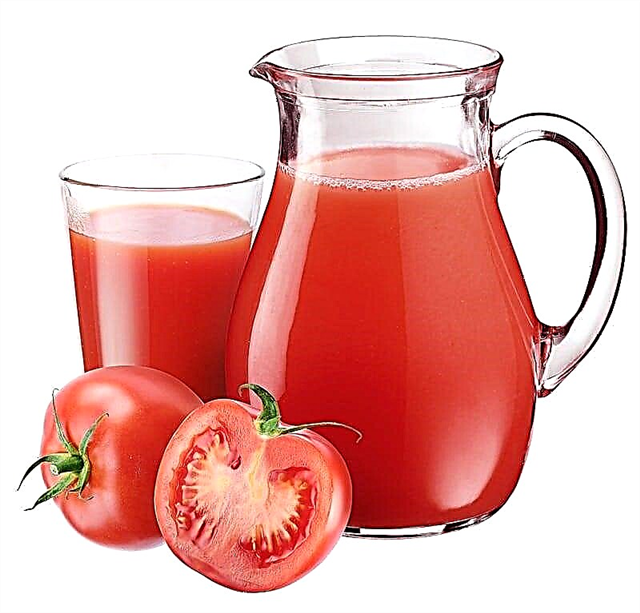 Mogu li piti sok od rajčice sa dijabetesom tipa 2?