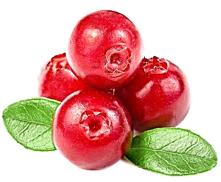 Nista 'niekol cranberries għad-dijabete?