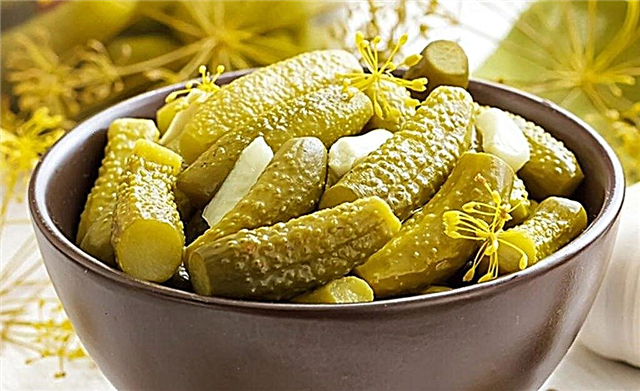Typ 2 Diabetes Pickles: glycemesche Index vum Produkt