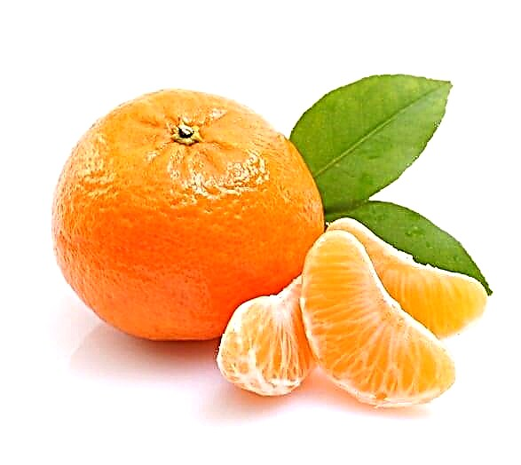 Gididdigar glycemic na tangerines: raka'a gurasa nawa ne a cikinsu?