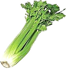 Celery rau hom 2 mob ntshav qab zib: glycemic Performance index thiab zaub mov txawv