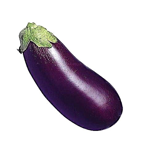 Eggplant mewn diabetes: a yw'n bosibl ar gyfer diabetig math 2?