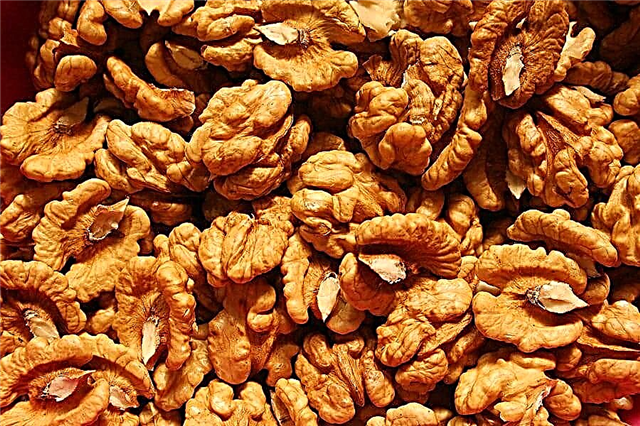 Posible bang mokaon sa mga walnuts nga adunay diabetes?