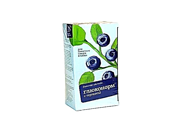 Gluconorma blueberryekin: berrikuspenak, prezioa, argibideak