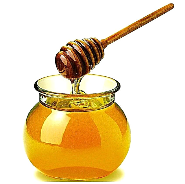 Մեղրը շաքարախտի՞ համար է: