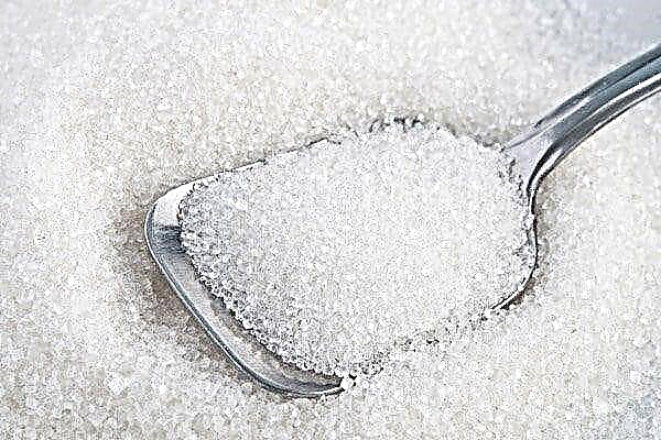 Цусан дахь сахар 30: чихрийн шижинтэй холбоотой юу хийх вэ?