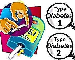 Қантты азайту үшін қант диабетінде тауық өтінің қолданылуы