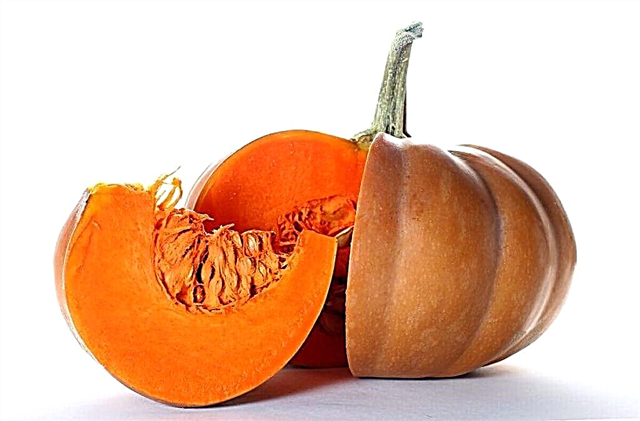 Pumpkin ji bo diyabetîkên celeb 2: ferman û pîvazan