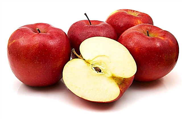 Applesauce-ọfẹ ti gaari: awọn anfani fun awọn alagbẹ