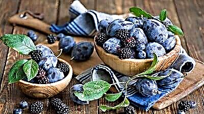 Blueberries ya ugonjwa wa sukari: kwa kuzuia na matibabu, mapishi muhimu ya berry