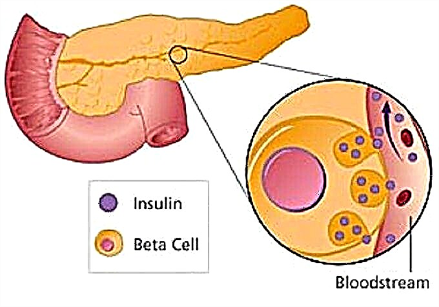 In mechanism de actio insulin, hormone physica et tuberosum