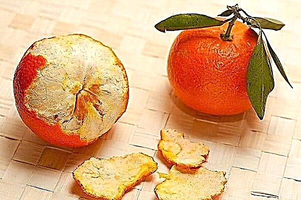 I-Tangerine peels yesifo sikashukela: isetshenziswa kanjani i-decoction ye-peel?