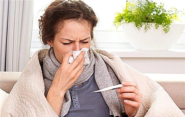Koja je opasnost od gripa i prehlade sa dijabetesom