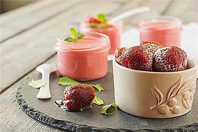 Strawberry Mousse Free
