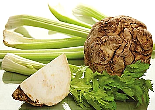 Type 2 nga celery sa diabetes: resipe sa gamut uban sa lemon