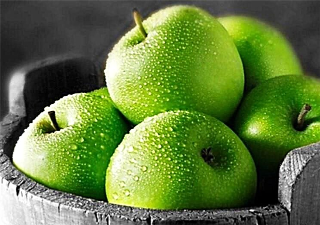 É posible comer peras e mazás con pancreatite