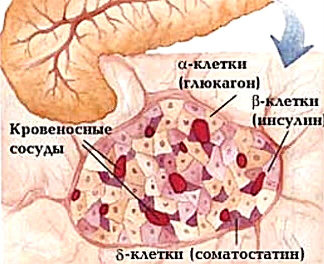 Pancreatic glucagon: mesebetsi, mokhoa oa ts'ebetso, litaelo tsa tšebeliso