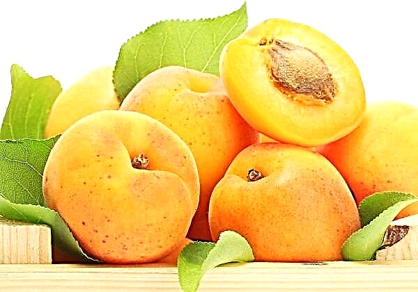 ຂ້ອຍສາມາດກິນ apricots ສຳ ລັບໂລກເບົາຫວານໄດ້
