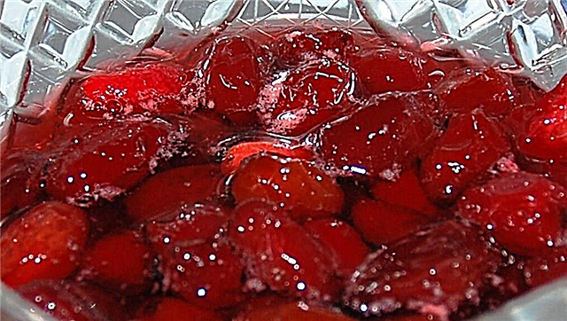 Ntụziaka Fructose Jam: apụl, Strawberries, Currants, piich