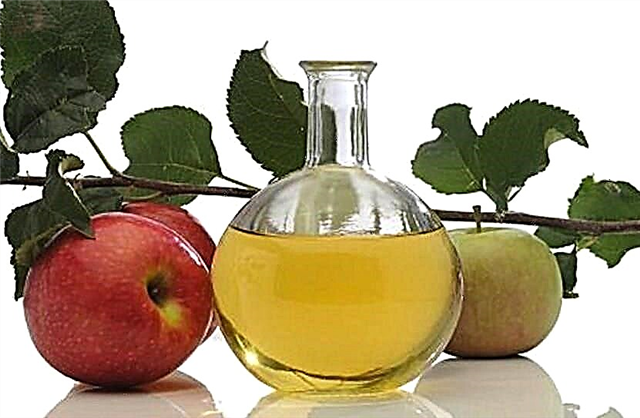 Apa cuka apel apel cocok kanggo diabetes jinis 2: cara perawatan kanggo perawatan