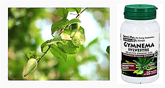Gymnema Sylvestre: comentarios médicos sobre o extracto da planta (herba)