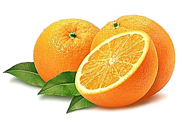2 типті қант диабеті үшін апельсин жеуге бола ма?