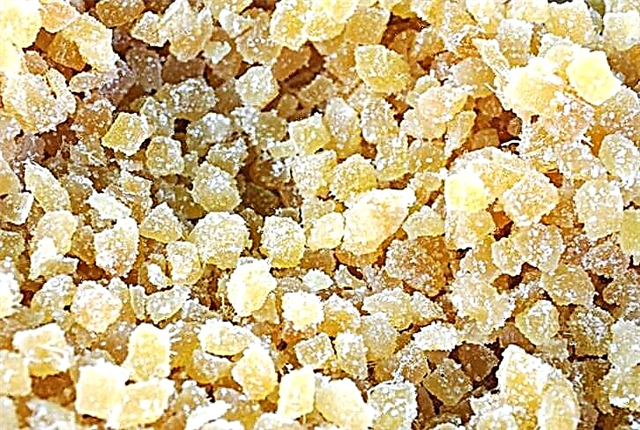 Jahé gula: ulasan ngeunaan mangpaat mangpaat sareng contraindications pikeun diabetes