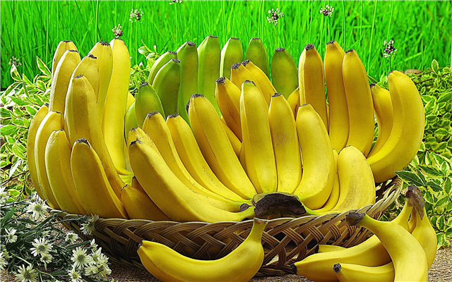 A yw'n bosibl bananas ar gyfer diabetes math 2