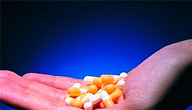 Tablet inulin pikeun penderita: kumaha anjeun tiasa ngagentos suntikan pikeun diabetes