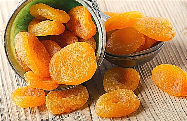 Ĉu eblas manĝi sekigitajn abrikotojn kun tipo 2-diabeto