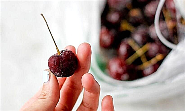 Kungenzeka yini ukuthi udle ama-cherries onesifo sikashukela sohlobo 2: izinzuzo nokulimaza