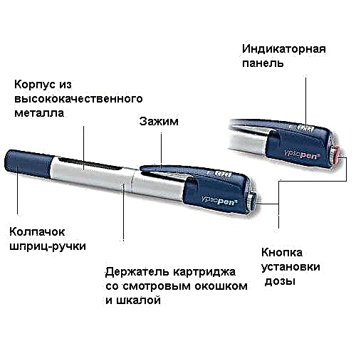 Syringe pen Biomatic Pen: mga pagsusuri at mga tagubilin