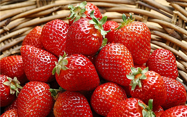Ass et méiglech Erdbeeren bei Diabetis ze iessen: Rezensiounen vun Diabetiker