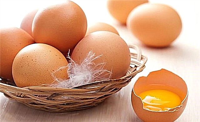 مرغی کے انڈوں میں کولیسٹرول: زردی میں مقدار