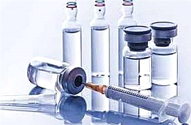 Ubrizgavajte inzulin zdravoj osobi: šta će se dogoditi pri uzimanju smrtonosne doze