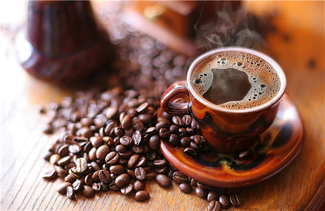 قهوه و کلسترول: آیا با مقادیر زیاد وجود دارد