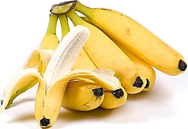 קען איך עסן bananas מיט פּאַנקרעאַטיק פּאַנקרעאַטיטיס