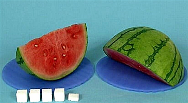 A yw watermelon yn codi siwgr yn y gwaed: faint o glwcos sydd mewn watermelon
