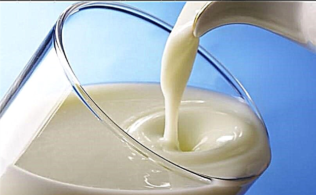 Apa bisa ngombe susu nganggo diabetes jinis 1 lan 2?
